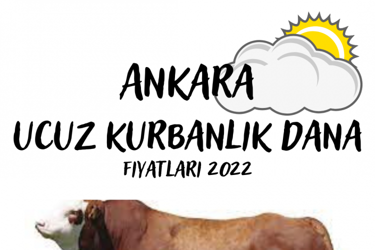 Ankara ucuz kurbanlık dana fiyatları 2022