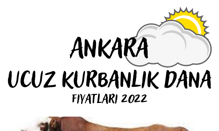 Ankara ucuz kurbanlık dana fiyatları 2022