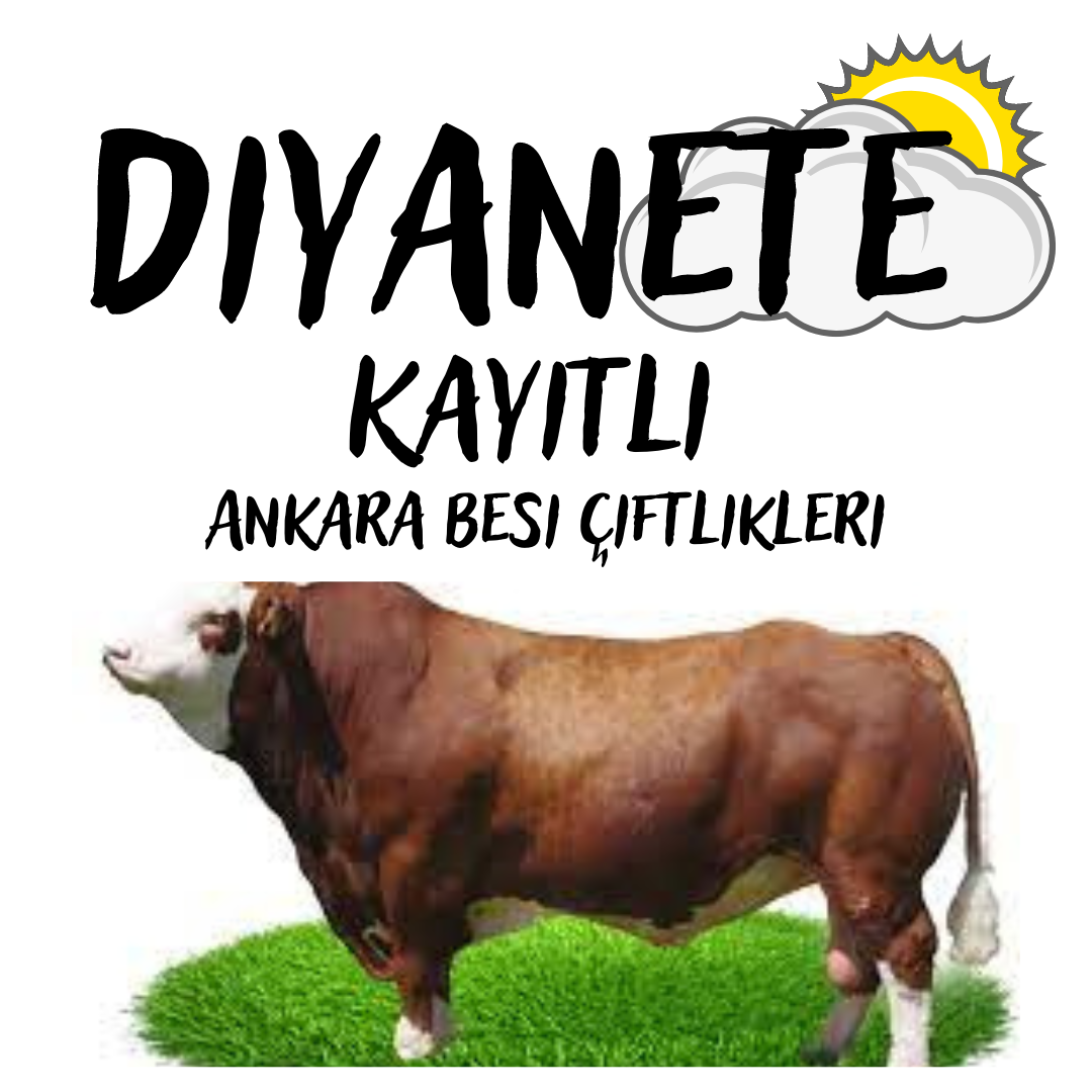 Diyanete Kayıtlı Ankara Besi Çiftlikleri